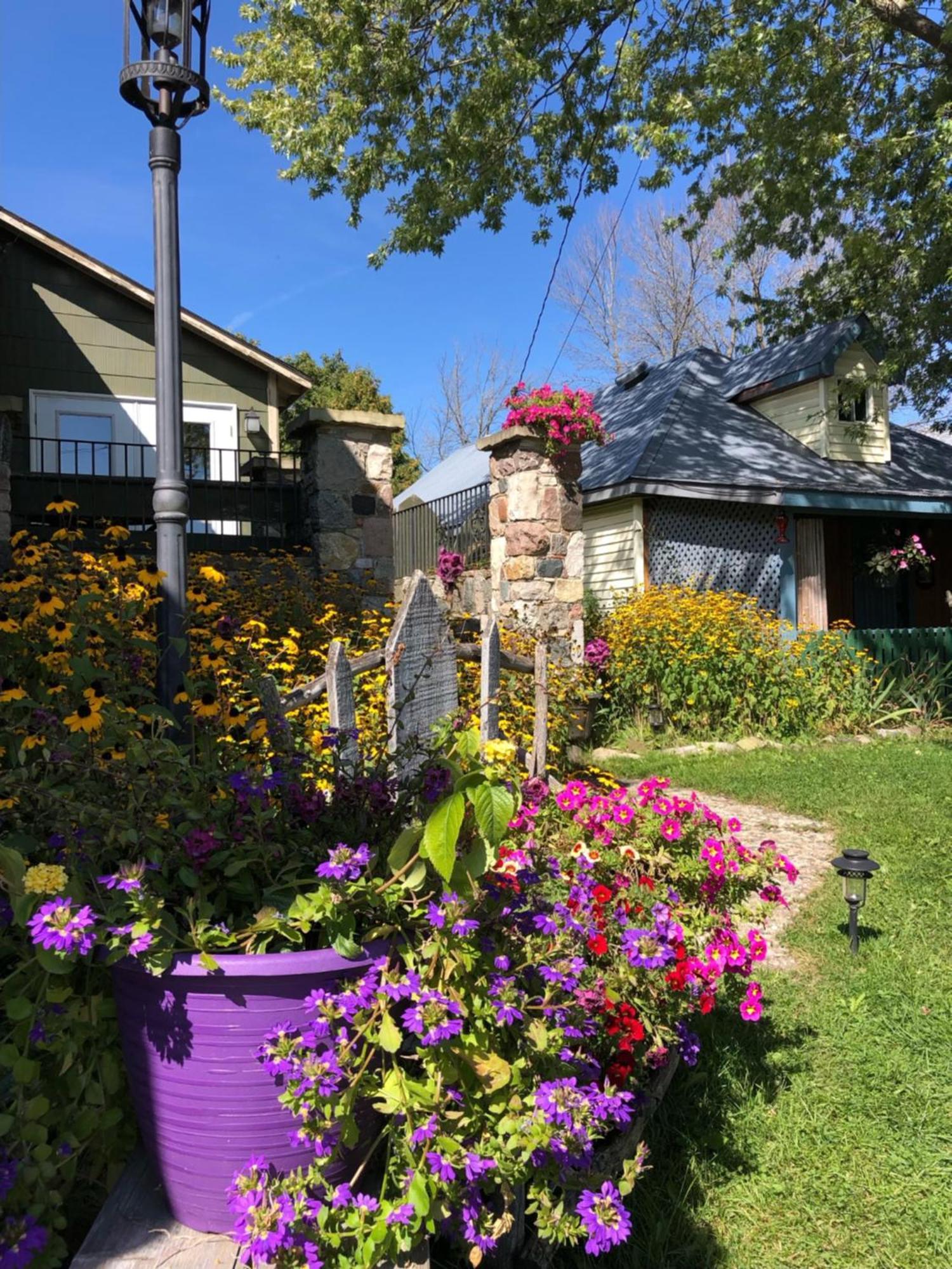 Spry Church Cozy Cottage Lion's Head Exterior foto